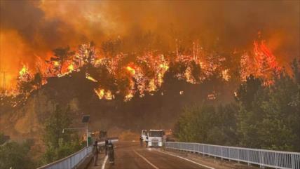 Incendios forestales amenazan la cuarta ciudad más grande de Turquía