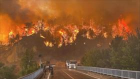 Incendios forestales amenazan la cuarta ciudad más grande de Turquía