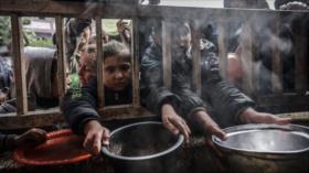 Decenas de senadores de EEUU urgen el fin de la crisis en Gaza