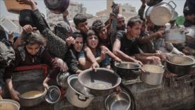 31 figuras israelíes sienten “vergüenza” por acciones de Israel en Gaza 