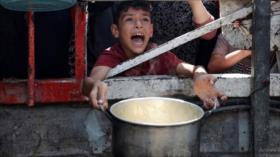 Unicef: Los niños en la Franja de Gaza sufren de desnutrición severa