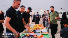 Arbaín en imágenes: Multitudes iraníes avanzan con fe hacia Karbalá
