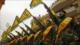 Hezbolá: Trataremos la decisión del gobierno como si no existiera
