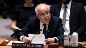 “La historia nos juzgará”: avisa el enviado palestino en el CSNU