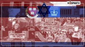Congelación de fondos por miles de millones golpea a universidades de EEUU por protestas pro-Palestina