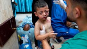 Estudio revela surgimiento de nuevas enfermedades fatales en Gaza