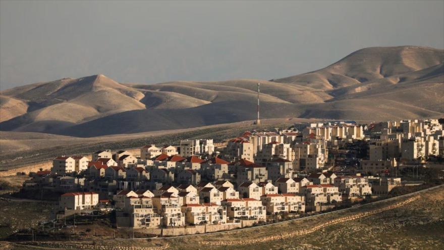 Una imagen general de casas en el asentamiento ilegal israelí de Maale Adumim, en la Cisjordania ocupada. (Foto: REUTERS)