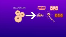 Medicina regenerativa | Iran Tech