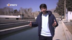 Rayos gamma y genética de la trucha | Iran Tech