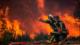 Incendios forestales calcinan más de 400 000 hectáreas en España