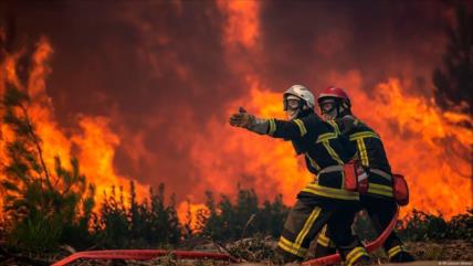 Incendios forestales calcinan más de 400 000 hectáreas en España