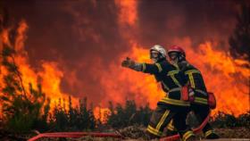 Incendios forestales calcinan más de 400 000 hectáreas en España