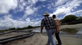 Venas de la vida - Parte 1