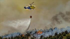 El fuego no conoce sanciones, pero España sí: bosques arrasados por rigidez ideológica