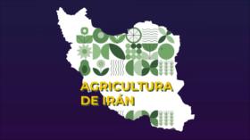 Avance en Biofungicidas | Iran Tech
