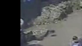 De pie en el polvo | P2