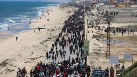 HAMAS, sobre plan de Trump: “La Franja de Gaza no está en venta”