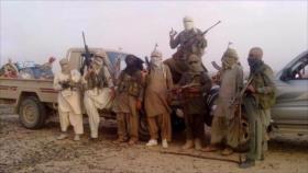 Informe: cerca de 100 iraníes, víctimas del terrorismo en 12 meses
