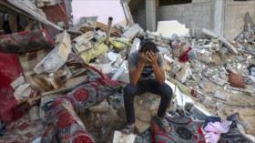 Finlandia se adhiere a los países que reconocen al Estado de Palestina