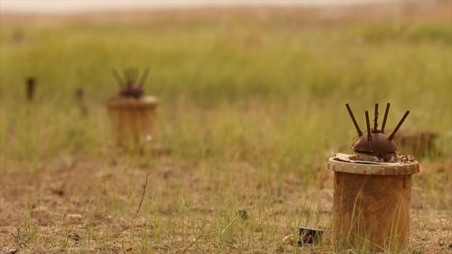 Huéspedes no invitados