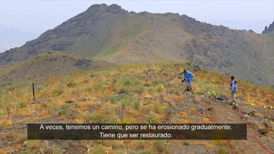 Huéspedes no invitados - P 1