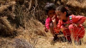 Huéspedes no invitados - P 2