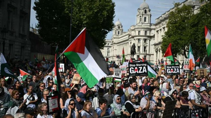 ‘Gobiernos desvían la mirada ante sufrimiento del pueblo palestino’