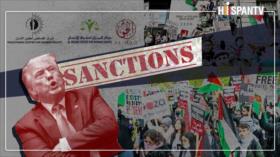 Datos clave: Lo que necesita saber sobre el PCHR, Al-Haq y Al-Mezan sancionados por EEUU