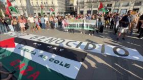 Cientos de españoles piden que se cumpla el embargo de armas a Israel