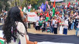 Brasileños apoyan la Flotilla Sumud y rechazan el genocidio en Gaza
