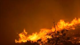 La contaminación del aire