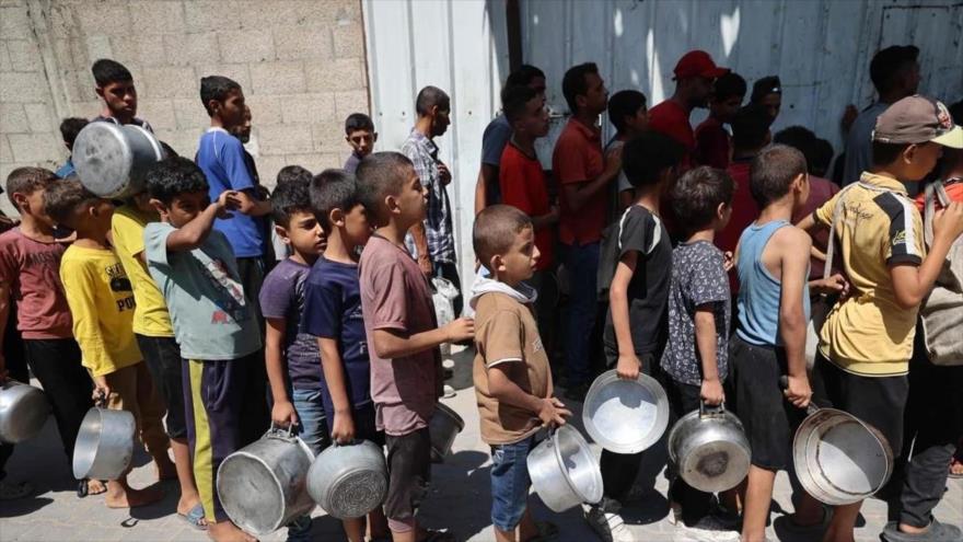 Niños palestinos guardan fila para recibir comida, en la franja de Gaza. (Foto: AFP)