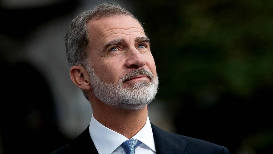 El rey de España, Felipe VI.