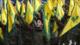 ‘EEUU e Israel ejecutan operación sofisticada contra Hezbolá en Líbano’