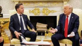 Trump se jacta de que EEUU gana dinero con la guerra en Ucrania