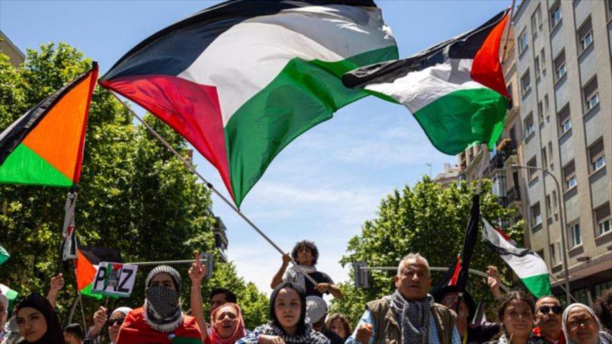 Activistas ondean la bandera nacional de Palestina.