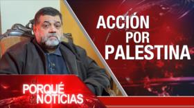 Acción por Palestina | El Porqué de las Noticias