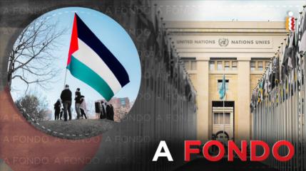 A fondo: Países que han reconocido al Estado de Palestina, Fechas y detalles
