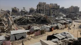 HAMAS responde al plan de Trump para Gaza; aquí los detalles
