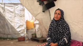 Activismo cristiano por Gaza | Mujeres de Resistencia