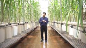 Campos más inteligentes | Iran Tech