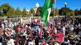 Miles marchan en Washington por Palestina y el fin del genocidio