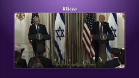 HAMAS apoya plan de paz para Gaza | Etiquetaje