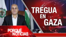 Tregua en Gaza | El Porqué de las Noticias