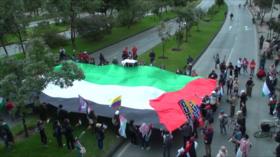 Diversas manifestaciones en Colombia en favor de la causa palestina