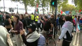 Miles marchan por Palestina tras el alto al fuego en Gaza
