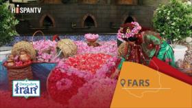 Descubre Irán: Fars, la capital de las rosas donde prosperan tradición y turismo
