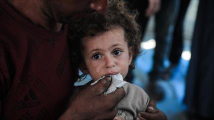 Gaza enfrenta una crisis alimentaria creciente pese al alto el fuego
