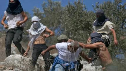 Ejército israelí conduce a palestinos a brutal emboscada de colonos