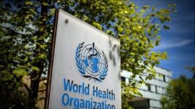 Un médico iraní conquista premio de OMS por su labor encomiable